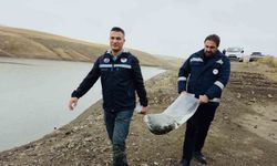 Van'ın su ürünleri sektöründen ekonomiye 25 milyon dolarlık katkı