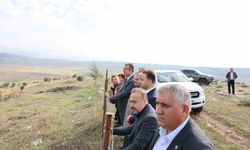 Vezirköprü Besi OTB Projesi'nde saha incelemesi