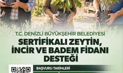 Zeytin, incir ve badem fidanı desteği için başvurular devam ediyor