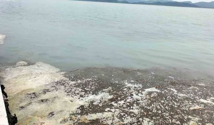 Köyceğiz Gölü’ndeki müsilaj tedirgin etti