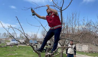Van’da meyve ağaçları için budama eğitimi