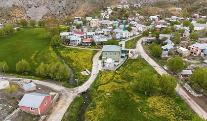 Orta Toroslardaki yaylalar görsel şölen sunuyor