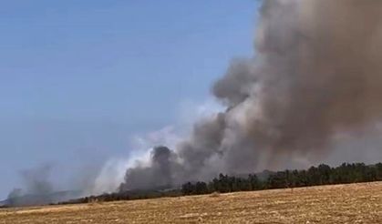 Bursa’da orman yangını, çok sayıda ekip müdahale ediyor