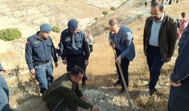  GAÜN NİZİP YERLEŞKESİNDE YÜZLERCE FİDAN TOPRAKLA BULUŞTU