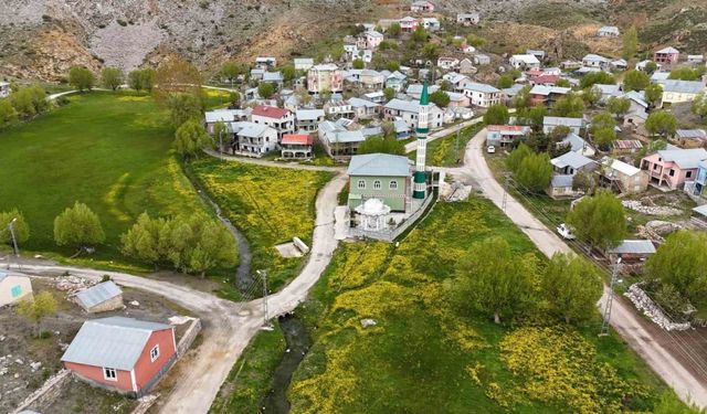 Orta Toroslardaki yaylalar görsel şölen sunuyor