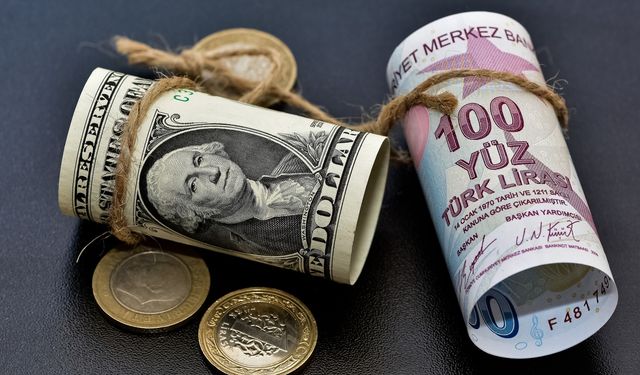 Özel sektörün yurt dışı kredi borcu Nisan ayında 185,9 milyar dolar oldu