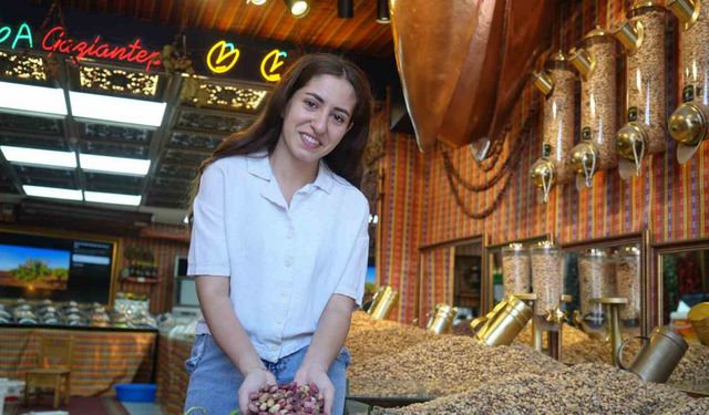 Antep fıstığının kilosu 500 TL oldu