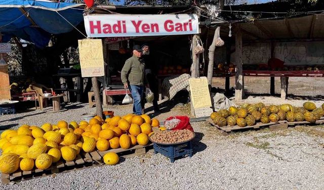 'Araştırmacı kavuncu dede' ata tohumlarını geleceğe taşıyor