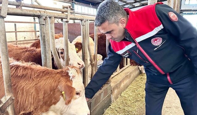 Erzurum'da 2025 yılında üreticiye güçlü destek