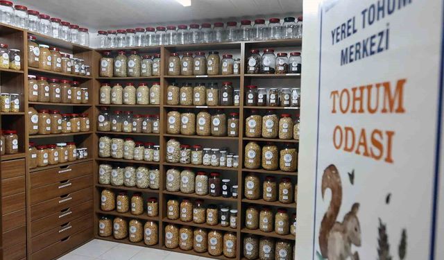 Muğla Büyükşehir 2026 yılında 3 milyon ata tohumu dağıtacak