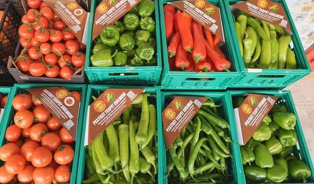 ŞOK Marketler'de pestisit analizinin kapsamı genişliyor: Domatesten sonra biberler de analiz ediliyor