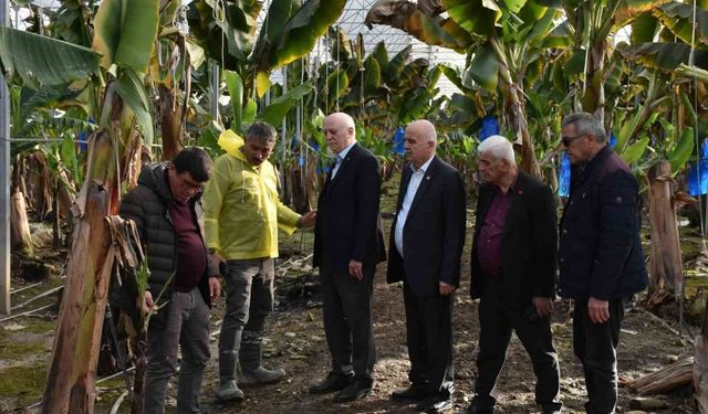 TZOB Genel Başkanı Bayraktar: 'Doğal afetler tarım sektörünü her geçen yıl daha fazla etkilemektedir'