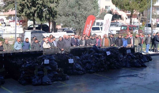 50 bin adet üzümsü fidan dağıtıldı