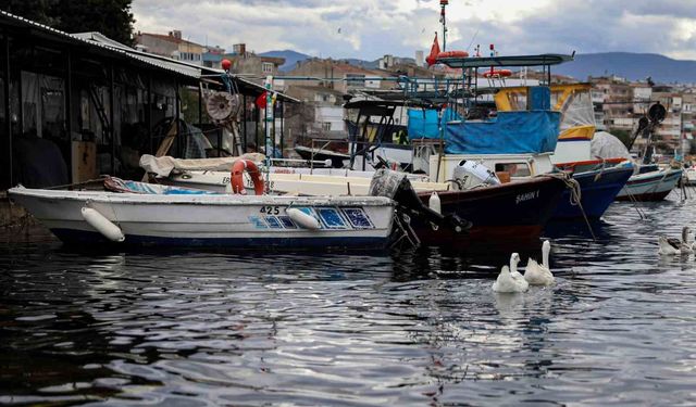 Balık sizden, mazot bizden