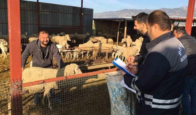 Denizli hayvancılığında sağlık, üretim ve güç bir arada