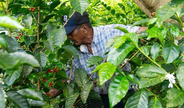 Espressolab'den kahve üretiminde şeffaf ve izlenebilir sistem