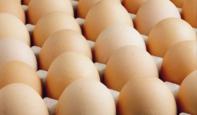 Kişi başına düşen yumurta üretimi 15 adet azaldı
