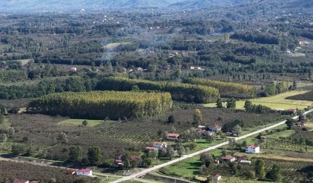 Çarşamba Ovası meyvede zirvede