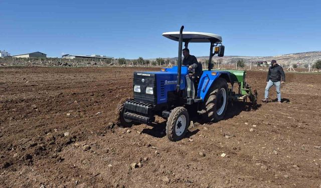 Gaziantep'te nohut ekimi başladı
