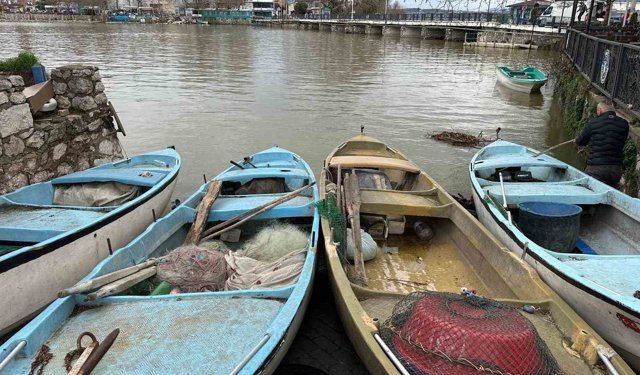 İstilacı İsrail sazanları balıkçılara gelir kaynağı oldu