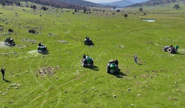 Manisa'da meralara 8,5 tonluk bereket