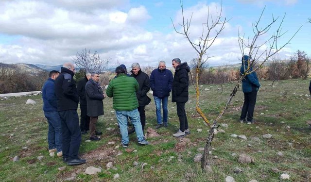Yuntdağı'nda kırsal kalkınma atağı