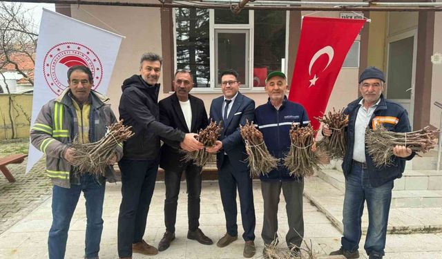 Emet'te 35 üreticiye 980 adet üzüm fidanı dağıtıldı