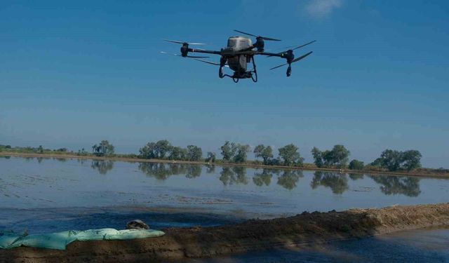 Dron ile çeltik ekimi