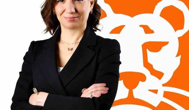 ING Türkiye'de üst düzey atama