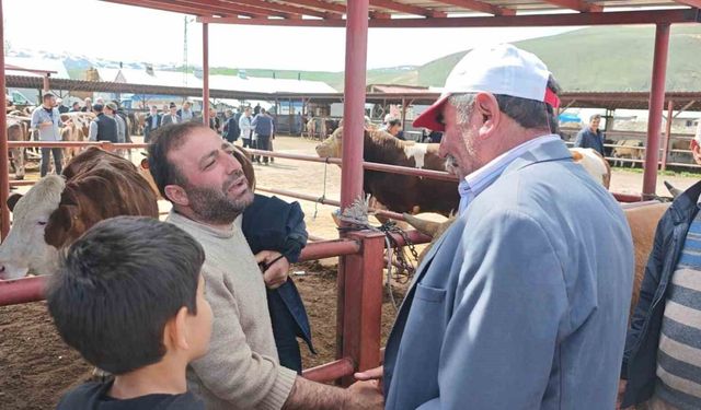 Kurban pazarlarında hareketlilik başladı