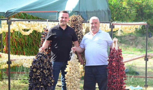 Nazilli'de kurutmalık sebze oymacılığı 'bacasız fabrikaya' dönüştü