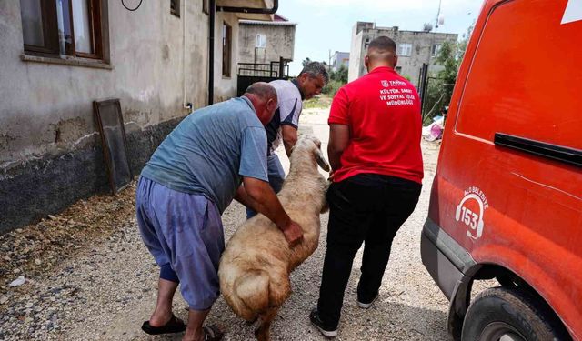 Tarsus Belediyesinden şehit ailelerine bayram desteği