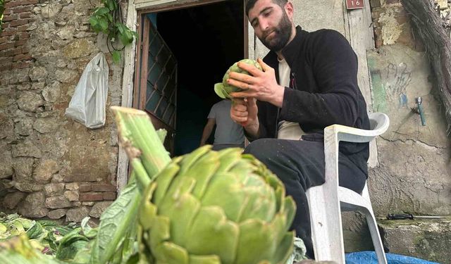 Enginar soyarak ayda 240 bin lira kazanıyor