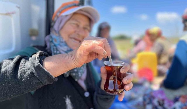 Tarlada yoruluyorlar odun ateşinde matarada çayla dinleniyorlar