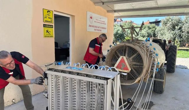 Üzümde kalıntı riskine karşı sıkı denetim