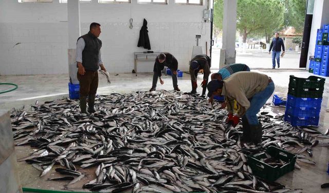 Muğla'nın Haziran ayı ihracatı 125,9 milyon dolar