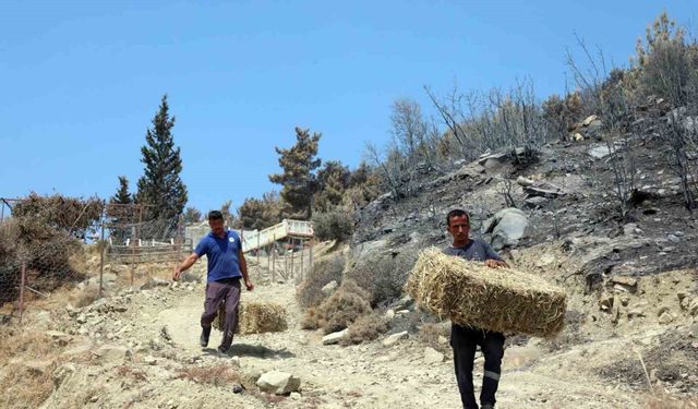 Seydikemer'de yaralar hızla sarılıyor