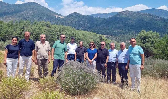 Tıbbi ve Aromatik Bitkileri yerinde inceleme