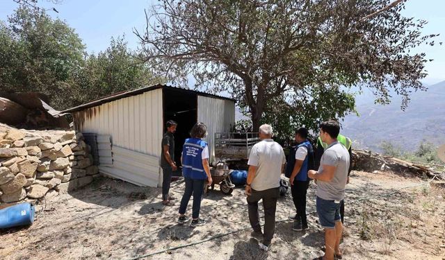 Yangında zarar gören çiftçilere Muğla Büyükşehir desteği