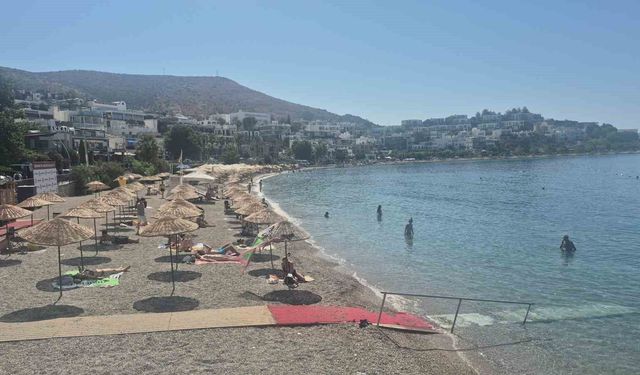 Bodrum'a iki gemiyle 2 bin 484 turist geldi