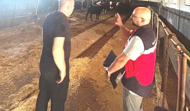 Tavşanlı'da Destek Projesi kapsamındaki ithal hayvanlar kontrolden geçirildi
