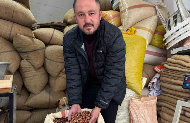 Giresun'da fındık fiyatı yılbaşına günler kala yükselişe geçti