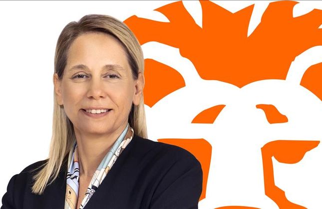 Tasarruf sahibi her 5 kişiden 1'i hisse senedi, borsa veya fonları tercih ediyor