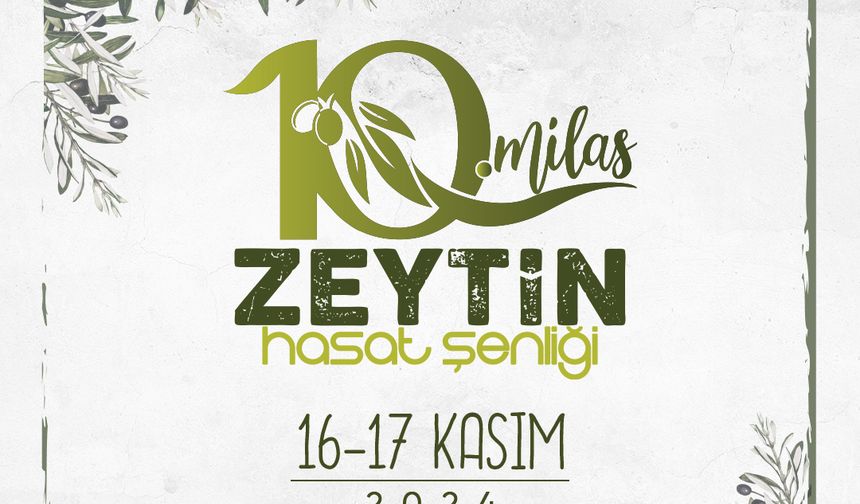 10. MİLAS ZEYTİN HASAT ŞENLİĞİ İÇİN GERİ SAYIM BAŞLADI