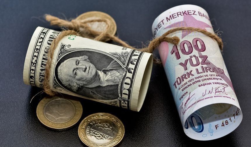 Özel sektörün yurt dışı kredi borcu Nisan ayında 185,9 milyar dolar oldu