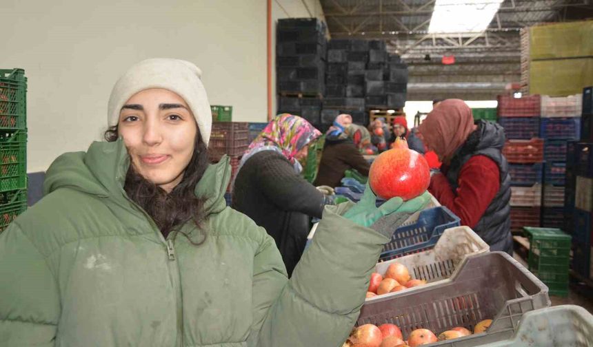 Korkuteli'nden nar ihracatı başladı