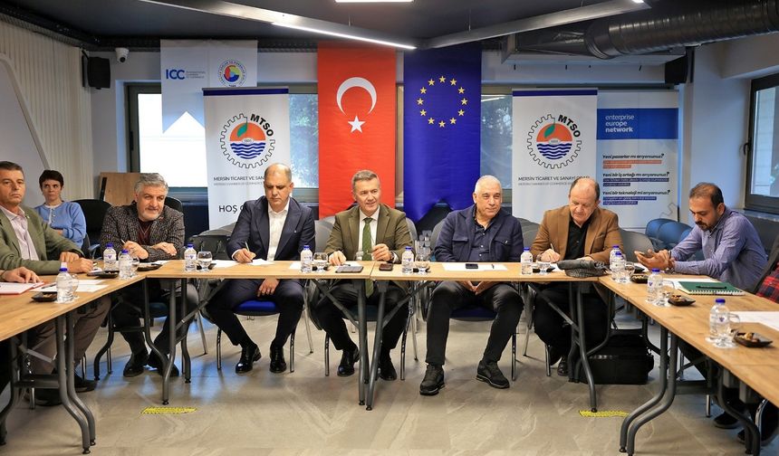 Mersin'e lojistik merkez kurulması kararı çıktı