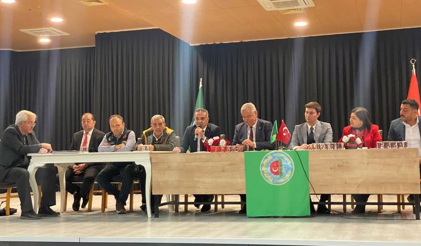 Zeytin üreticileri için destek ve markalaşma önerisi