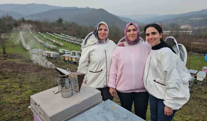 Zonguldak'ta anne ve kızları arıcılık mesleğiyle kestane balı üretiyor