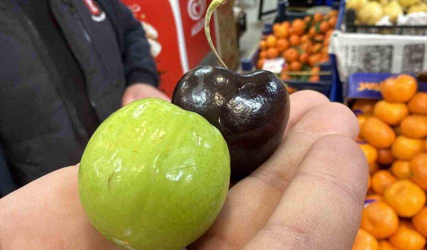 Bu meyveler aşerenler için Singapur'dan geliyor